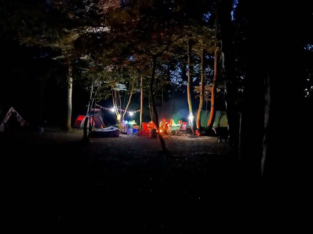 woodland pitches at pop up campsites