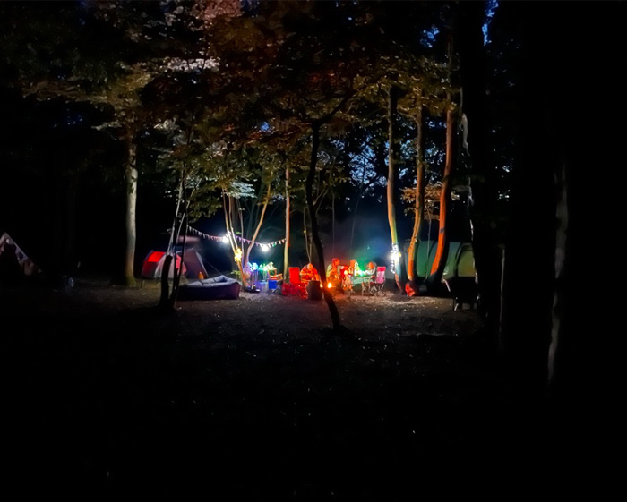 Camping in wild woodland sussex