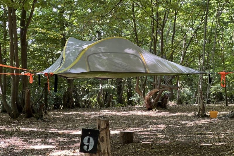 best woodland camping in sussex