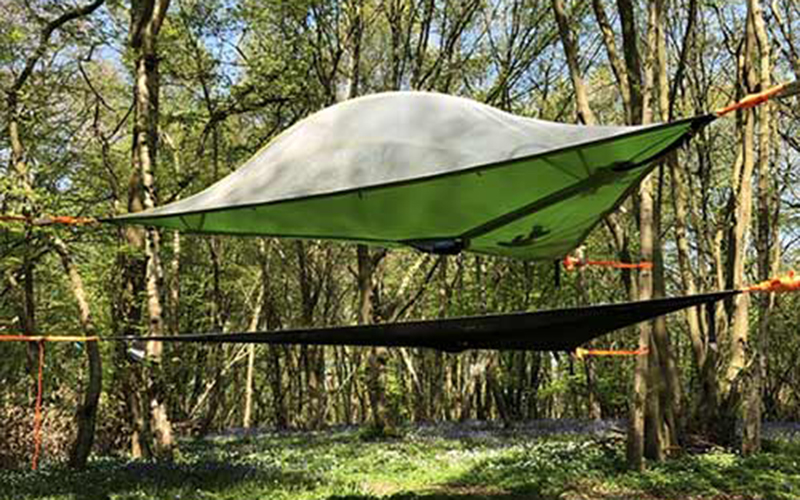 tree tent