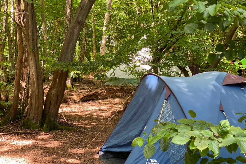 woodland campsite in seast sussex